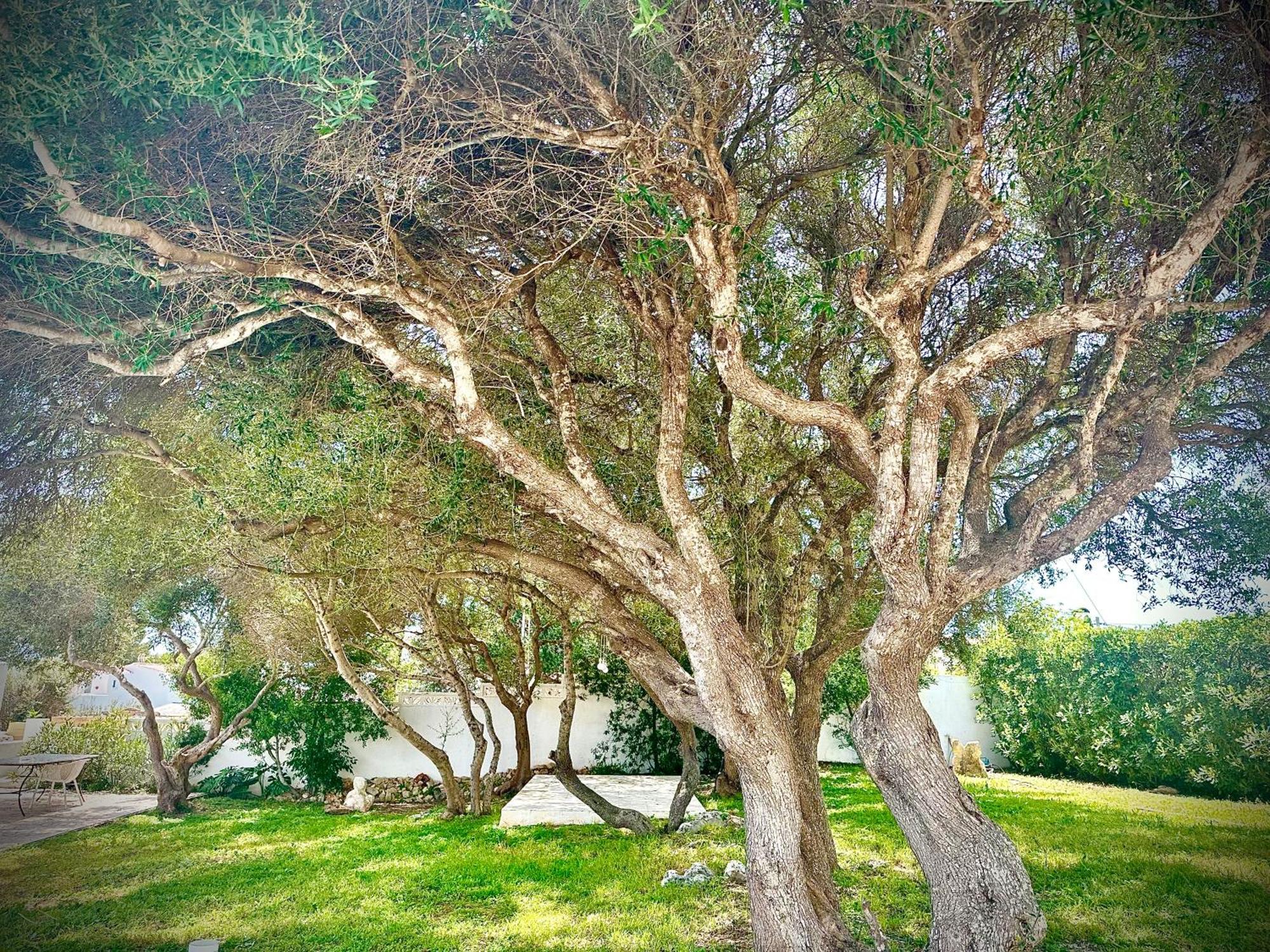 Starbal Love Es Castell  Dış mekan fotoğraf